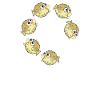 Bufferring Pufferfish