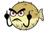 Puffer fish shows middle finger