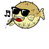 Singing Puffer Fish