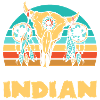 Native American Skull