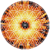 Flower of Life - Creativity