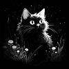 Black and white cat