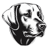 Labrador Harmony