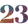 23e anniversaire léopard