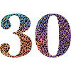 30th Anniversary Leopard