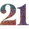 21st Birthday Leopard