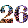 26th Anniversary Leopard