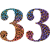 33rd Birthday Leopard