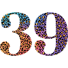 39th Birthday Leopard