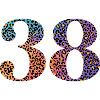 38th Birthday Leopard
