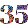 35e anniversaire léopard
