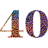 40th Anniversary Leopard
