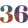 36th Birthday Leopard