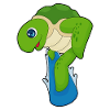 Turtle Snowboarder Snowboard