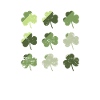 Shamrocks Saint-Patrick