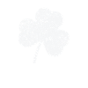 Shamrock Saint-Patrick Irlandais