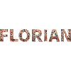 FLORIAN brick