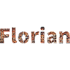 Florian brick