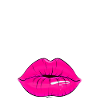 40 & Fabelhaft