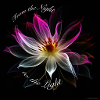 Flower magenta