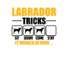 Labrador Tricks
