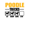 Poodle Tricks