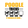 Poodle Tricks