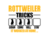 Rottweiler Tricks
