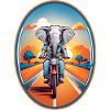 Elephant on motorcycle