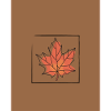 Welcome autumn