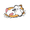 Haustiere Hamster Lieblingstier Statement Heimtier
