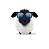 Cool sheep with sunglasses