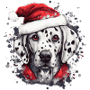 Dalmatian celebrates Christmas