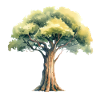 Rooted in Nature