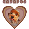 Cavapoo heart (autumn)
