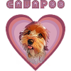 Cavapoo heart (Fade retro)