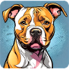 Cute Cute Pitbull Dog