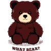 What Bear?