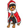 Rottweiler Noël Noël