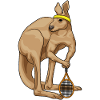 Kangaroo Tennis Tennis Racket