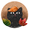 Cat in autumn