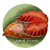 Igel im Herbst