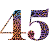 45th Anniversary Leopard
