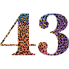 43rd Birthday Leopard