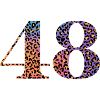 48th Birthday Leopard