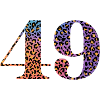 49th Birthday Leopard