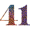 41st Birthday Leopard