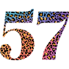 57th Birthday Leopard