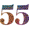 55th Anniversary Leopard
