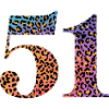 51st Birthday Leopard